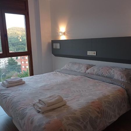 Allotjament Buixeda Olot Kültér fotó