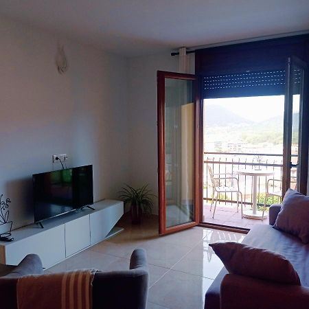 Allotjament Buixeda Olot Kültér fotó
