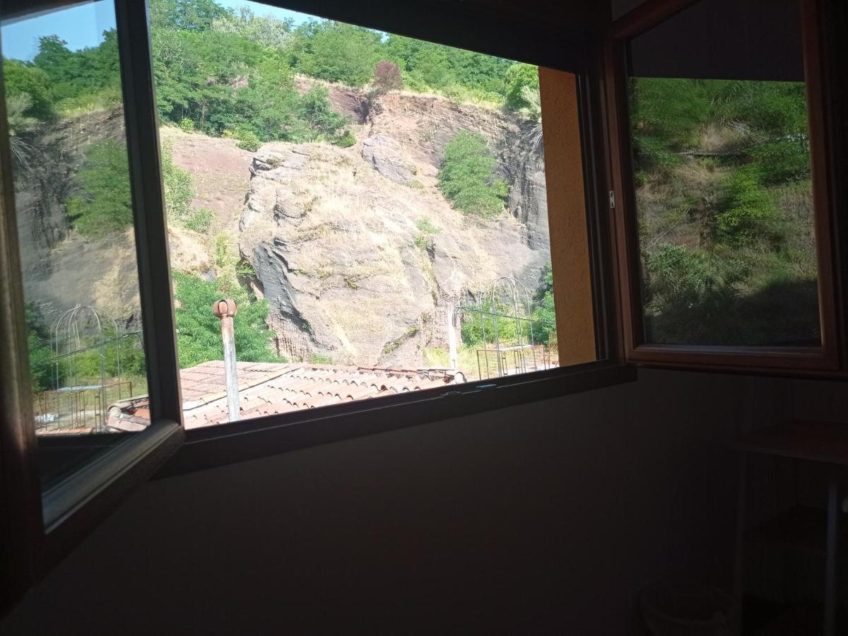 Allotjament Buixeda Olot Kültér fotó